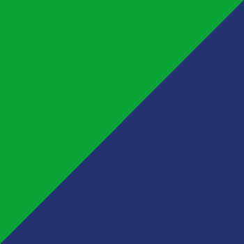 DUO 200 ŠOKIO DANGA - CHROMO ŽALIA|CHROMO MĖLYNA