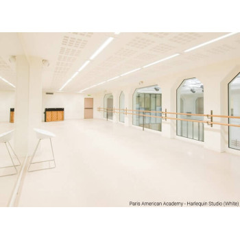 STUDIO ŠOKIO DANGA - BALTA