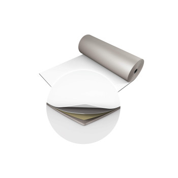 STUDIO ŠOKIO DANGA - BALTA